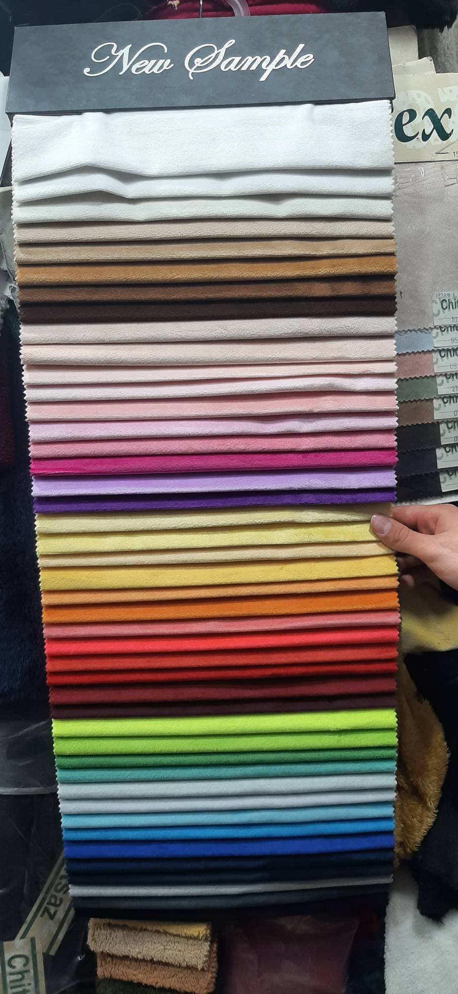 20241210_113858 (1) (1)