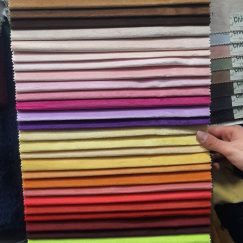 20241210_113858 (1) (1)